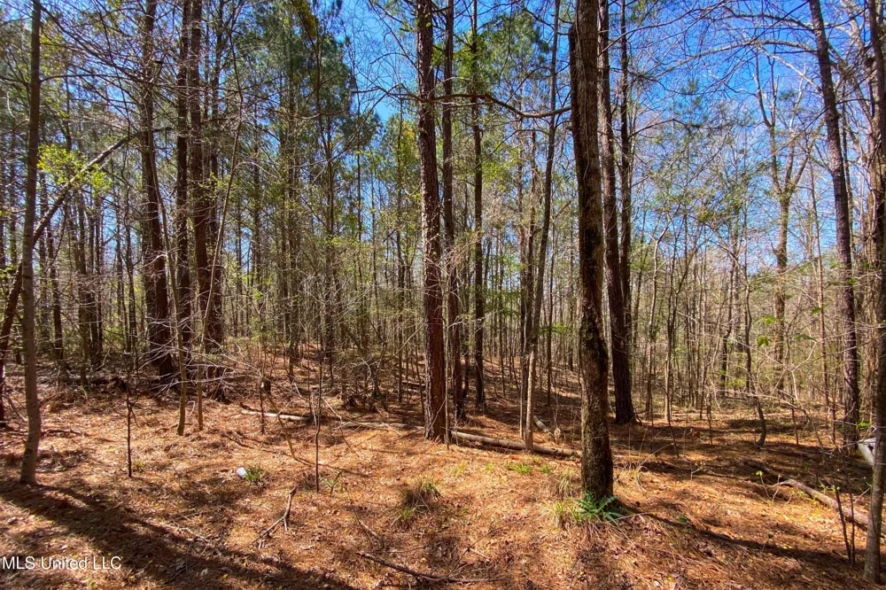 481 Ward Road Florence, MS 39073