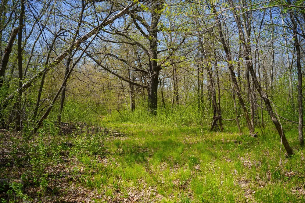 TBD 125th Street Dalton, MN 56324