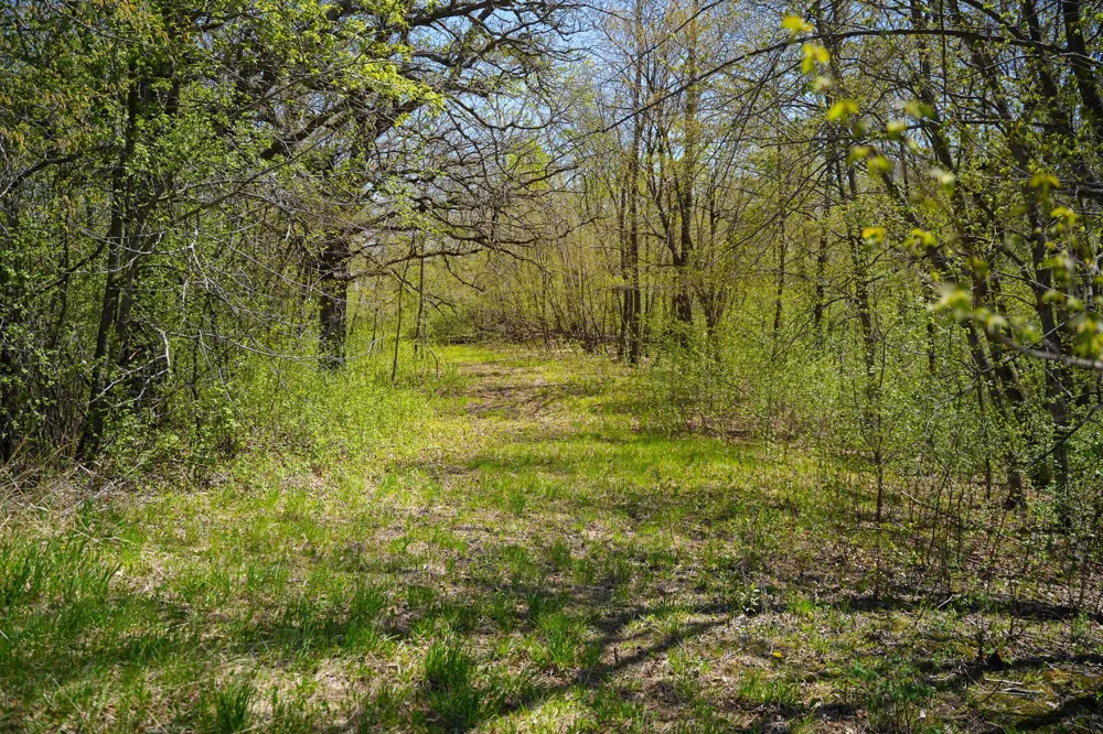 TBD 125th Street Dalton, MN 56324