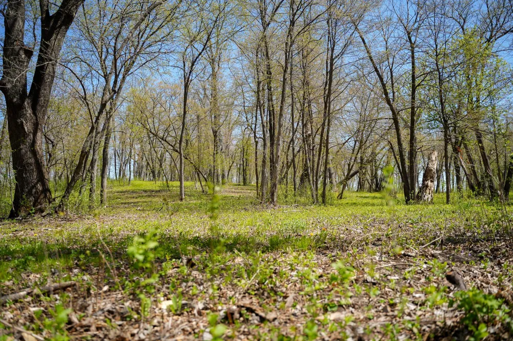 TBD 125th Street Dalton, MN 56324
