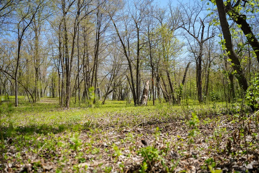 TBD 125th Street Dalton, MN 56324