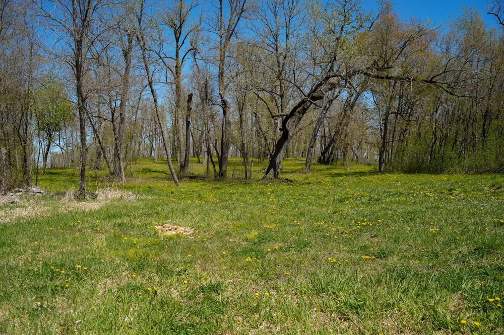 TBD 125th Street Dalton, MN 56324