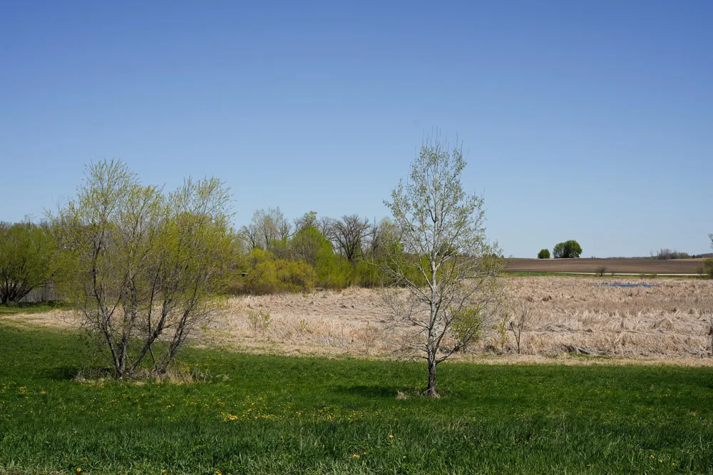 TBD 125th Street Dalton, MN 56324