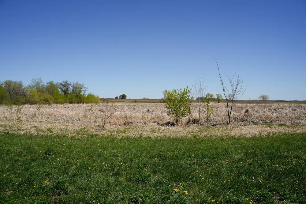 TBD 125th Street Dalton, MN 56324