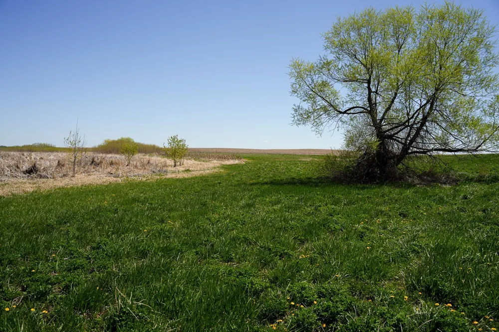 TBD 125th Street Dalton, MN 56324