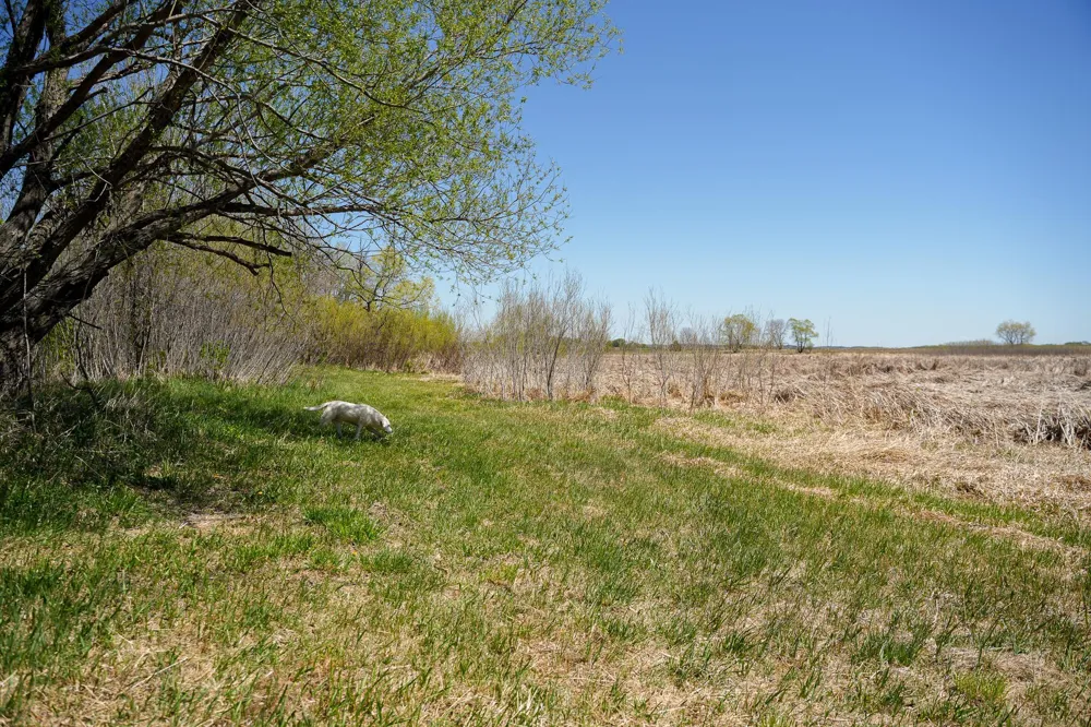 TBD 125th Street Dalton, MN 56324