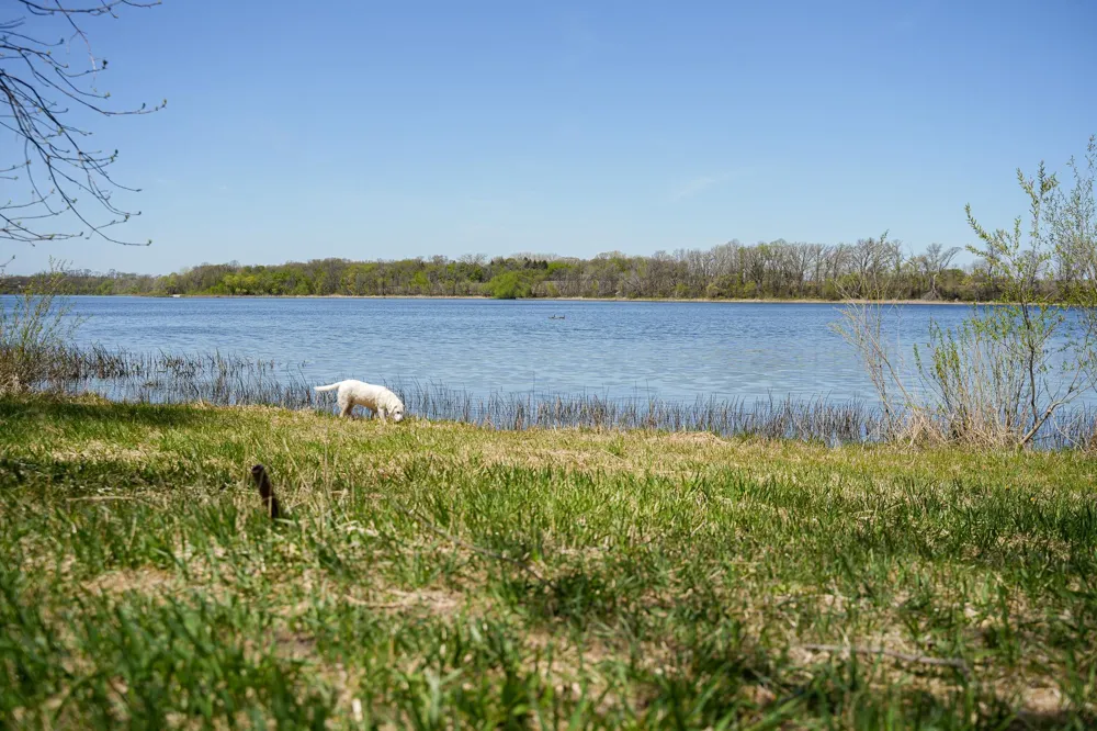 TBD 125th Street Dalton, MN 56324
