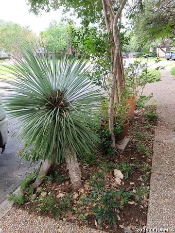 2039 Thicket Trail Dr San Antonio, TX 78248