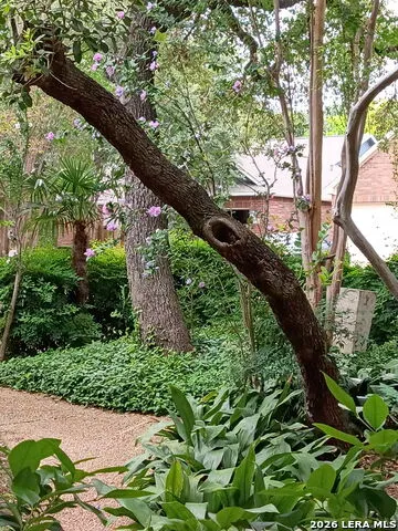 2039 Thicket Trail Dr San Antonio, TX 78248