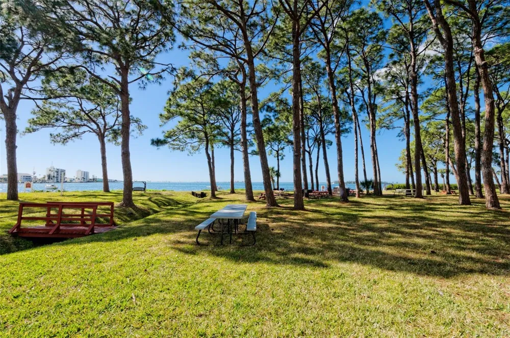 2700 BAYSHORE BOULEVARD #2205 Dunedin, FL 34698