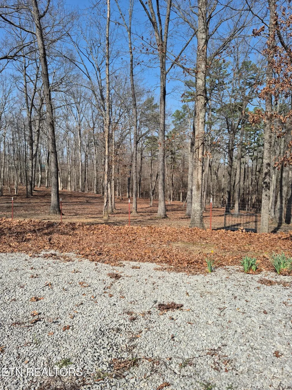 101 Ridgepoint Rd Jamestown, TN 38556