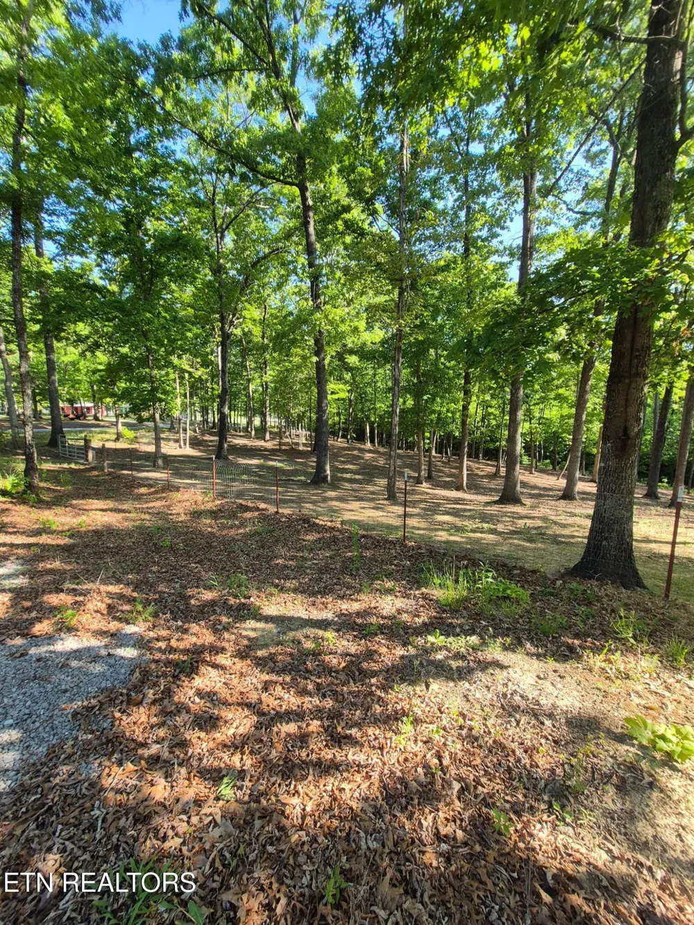 101 Ridgepoint Rd Jamestown, TN 38556