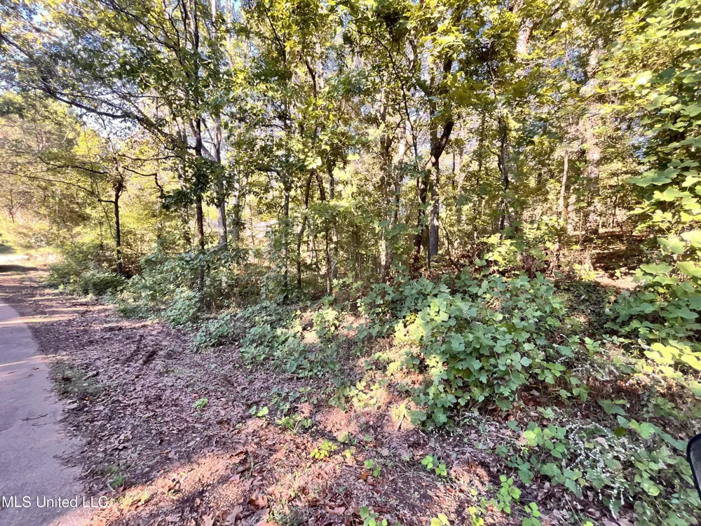 0 Snow Lake Drive Ashland, MS 38603