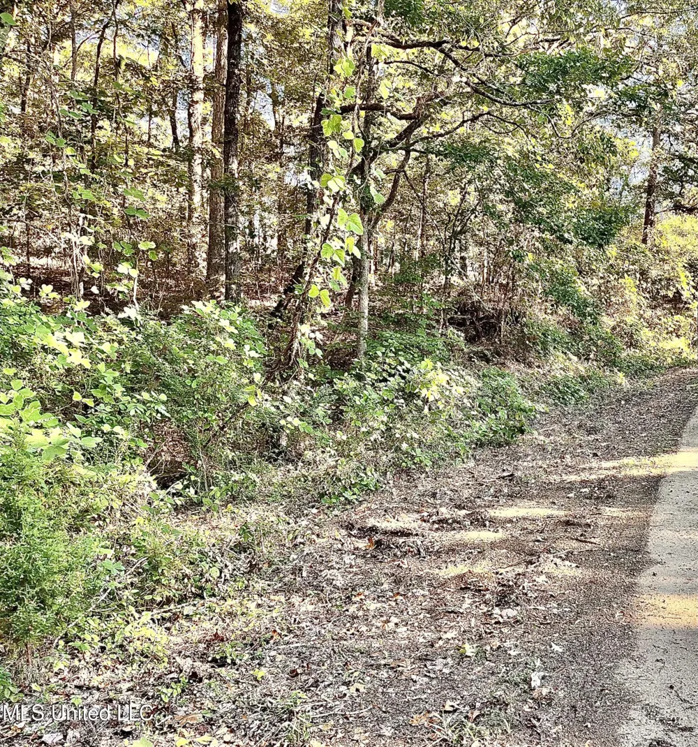 0 Snow Lake Drive Ashland, MS 38603