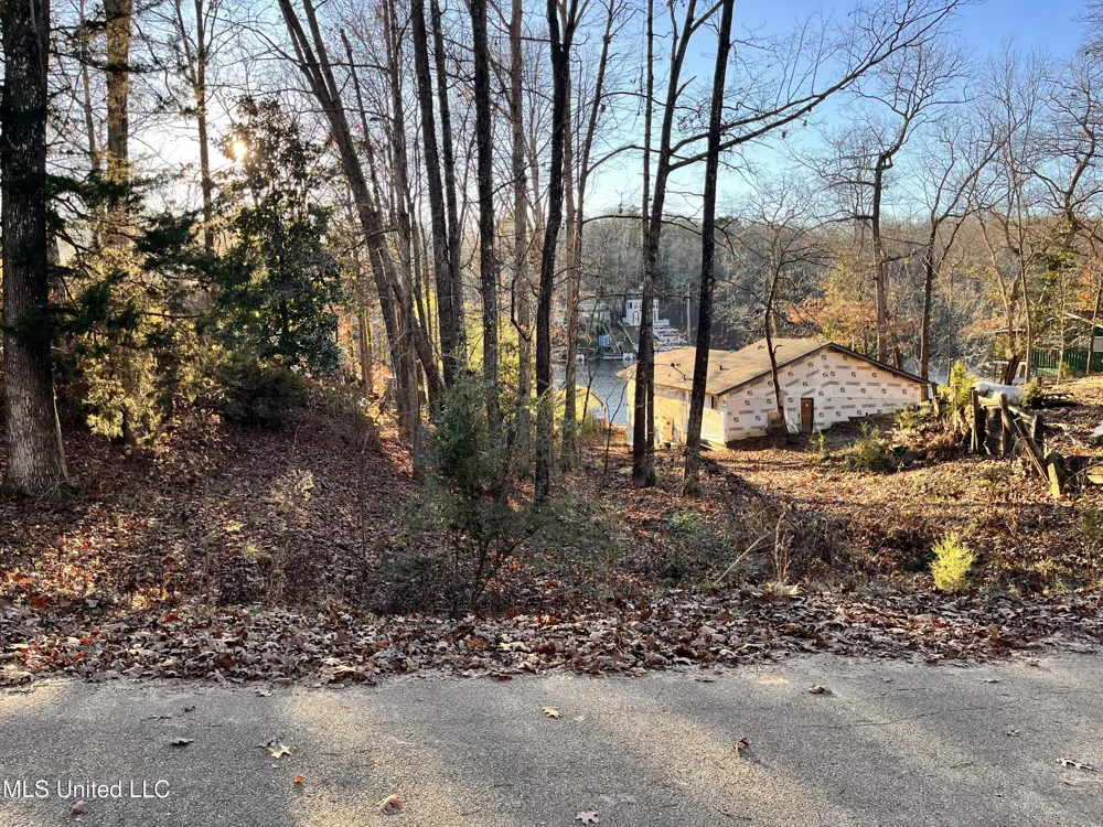 0 Snow Lake Drive Ashland, MS 38603