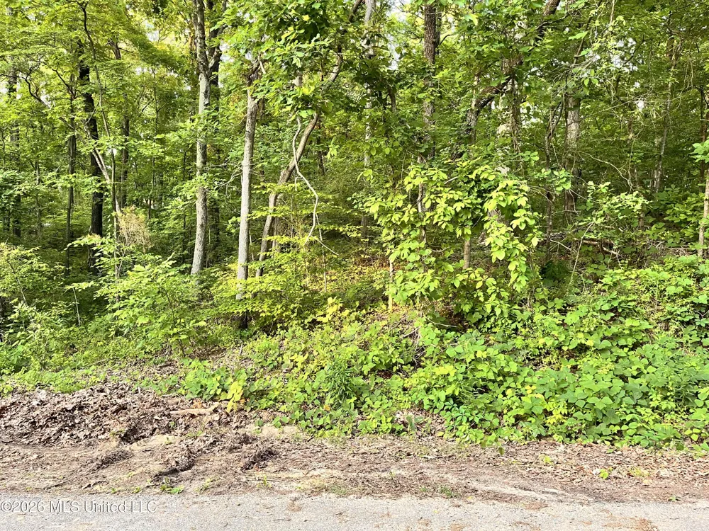 0 Snow Lake Drive Ashland, MS 38603