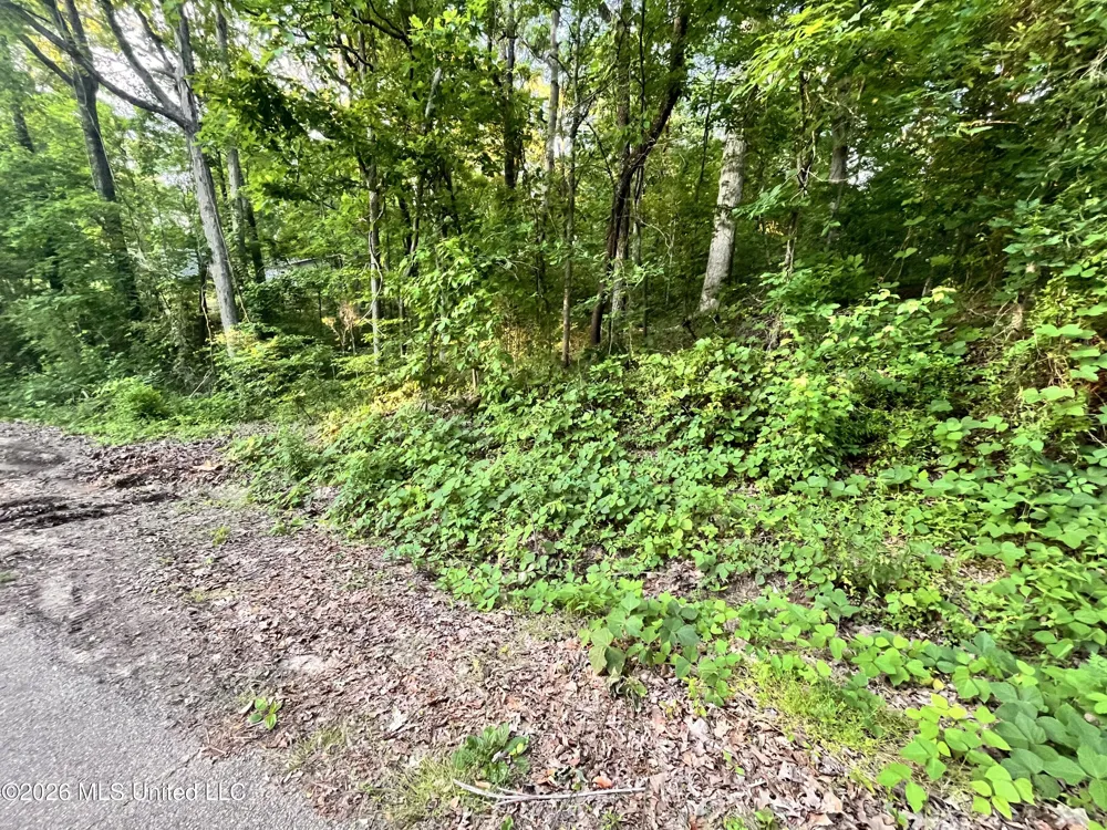 0 Snow Lake Drive Ashland, MS 38603
