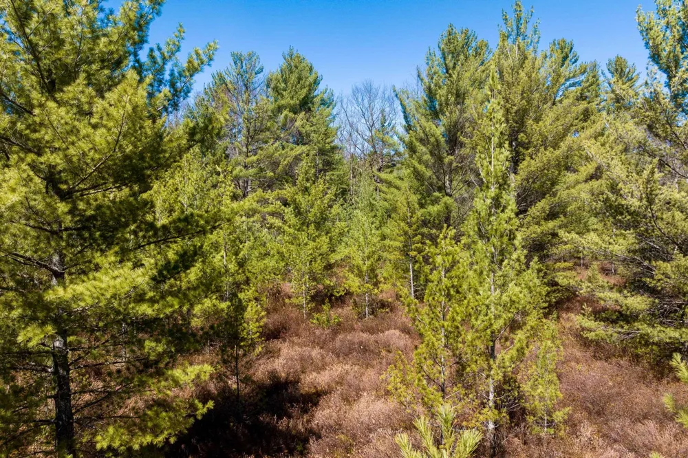 Mud Lake Road Green Lake Township, MI 49643
