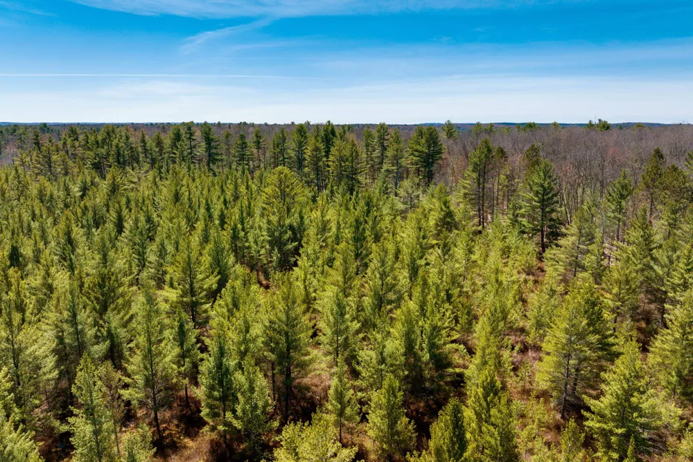 Mud Lake Road Green Lake Township, MI 49643