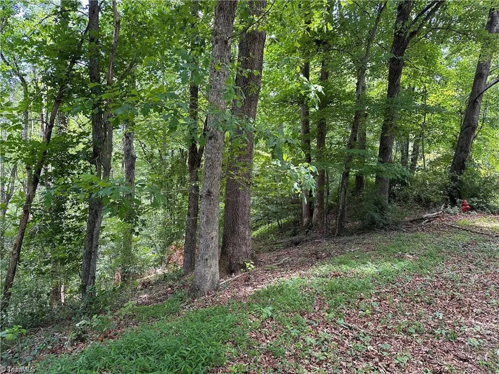 TBD S Recreation Road Wilkesboro, NC 28697