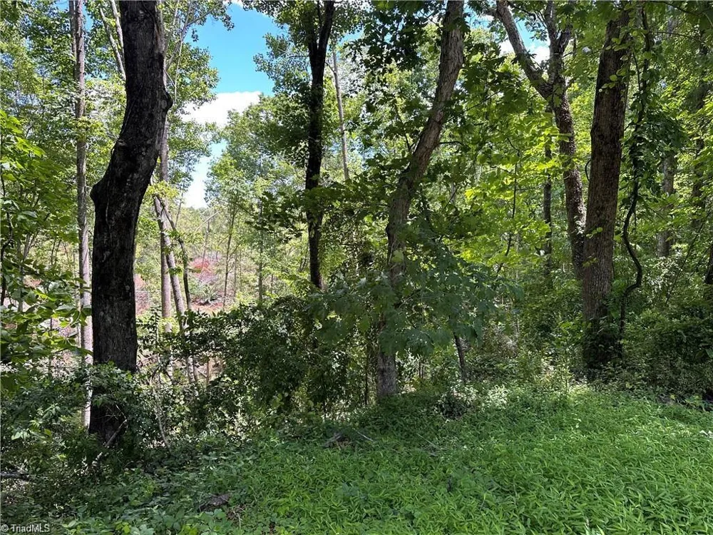 TBD S Recreation Road Wilkesboro, NC 28697