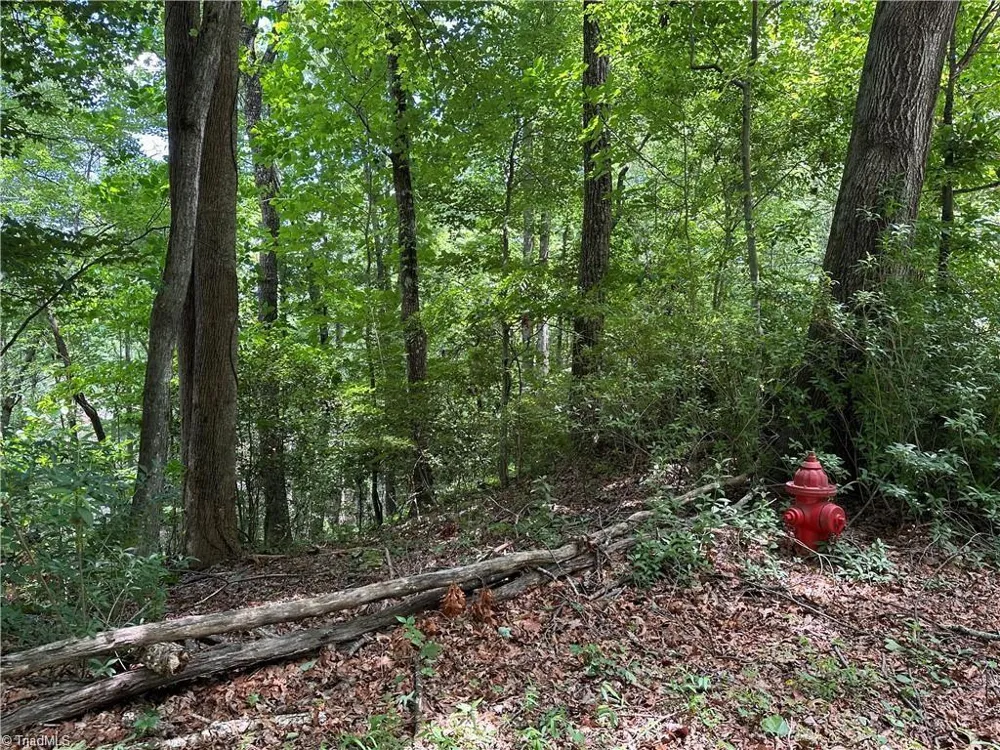 TBD S Recreation Road Wilkesboro, NC 28697