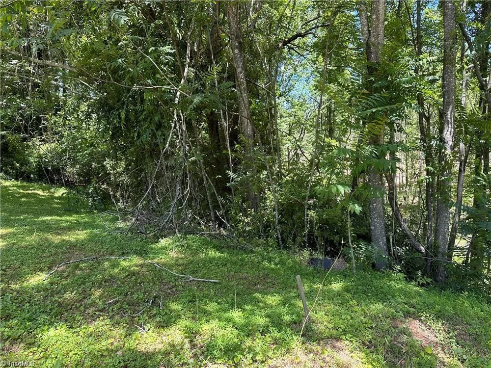 TBD S Recreation Road Wilkesboro, NC 28697