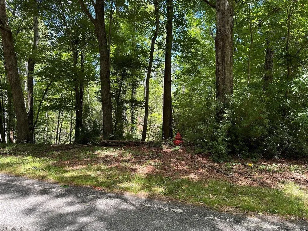 TBD S Recreation Road Wilkesboro, NC 28697
