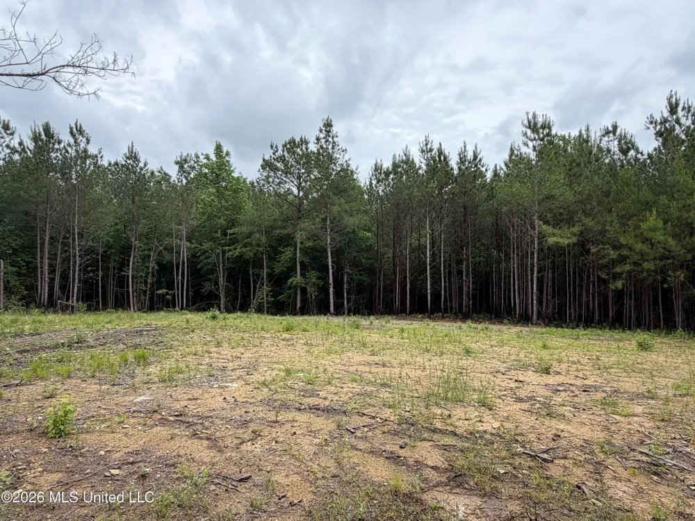 157 Walker Bottom Road Meridian, MS 39301
