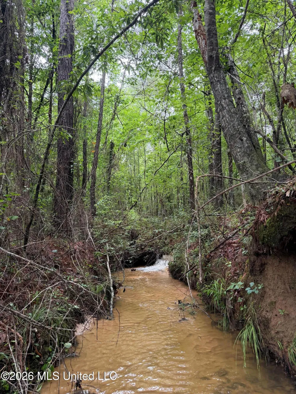 157 Walker Bottom Road Meridian, MS 39301