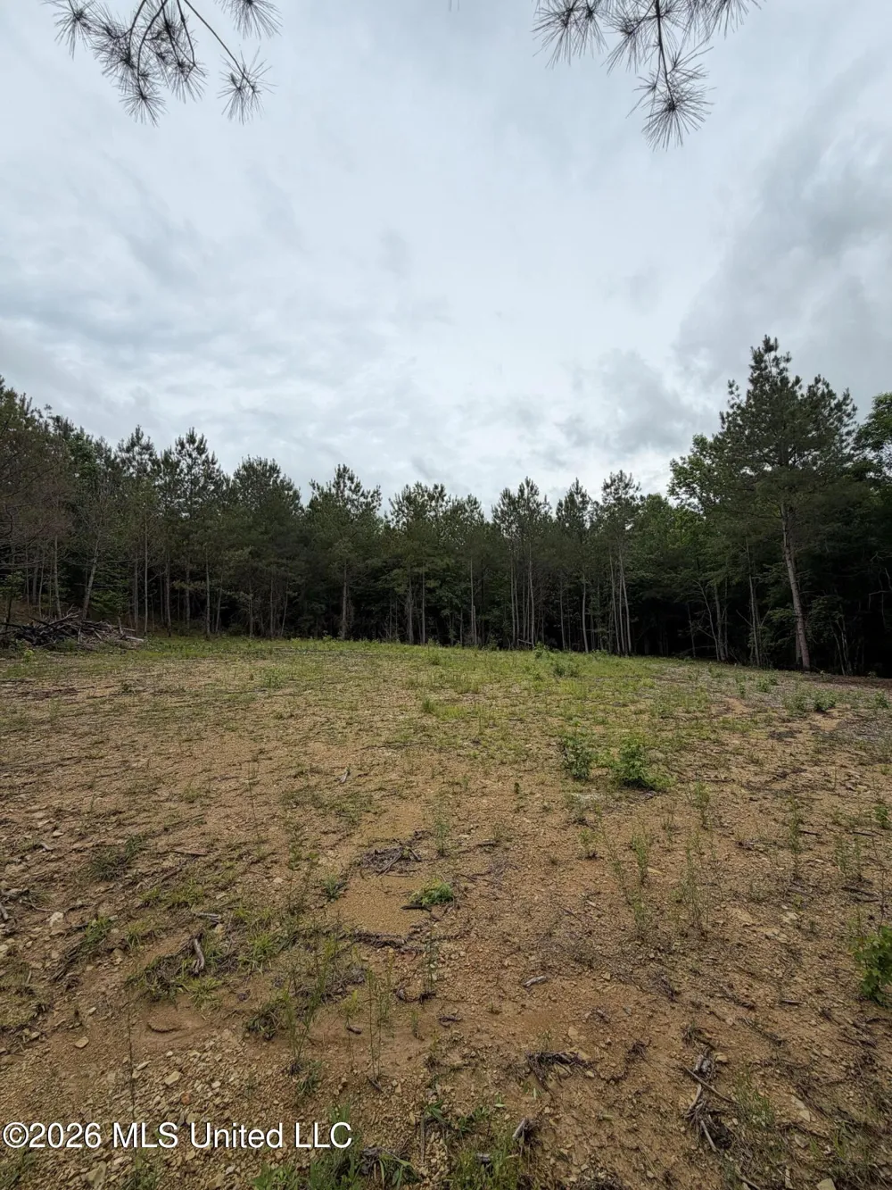 157 Walker Bottom Road Meridian, MS 39301