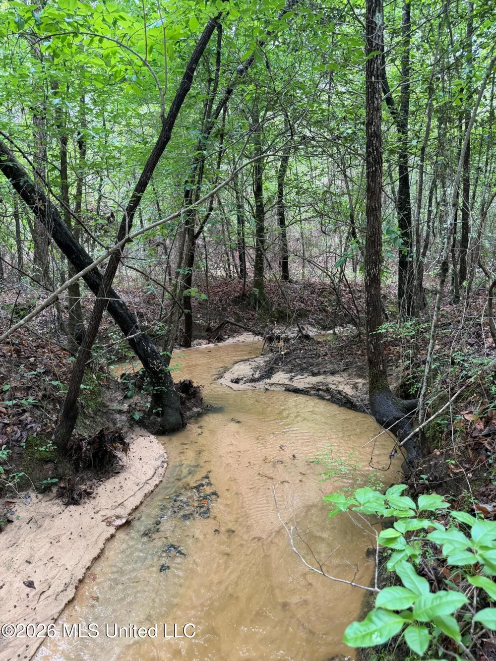 157 Walker Bottom Road Meridian, MS 39301