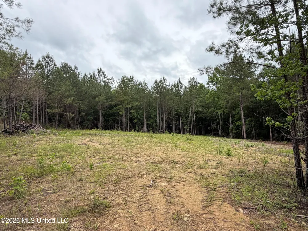 157 Walker Bottom Road Meridian, MS 39301