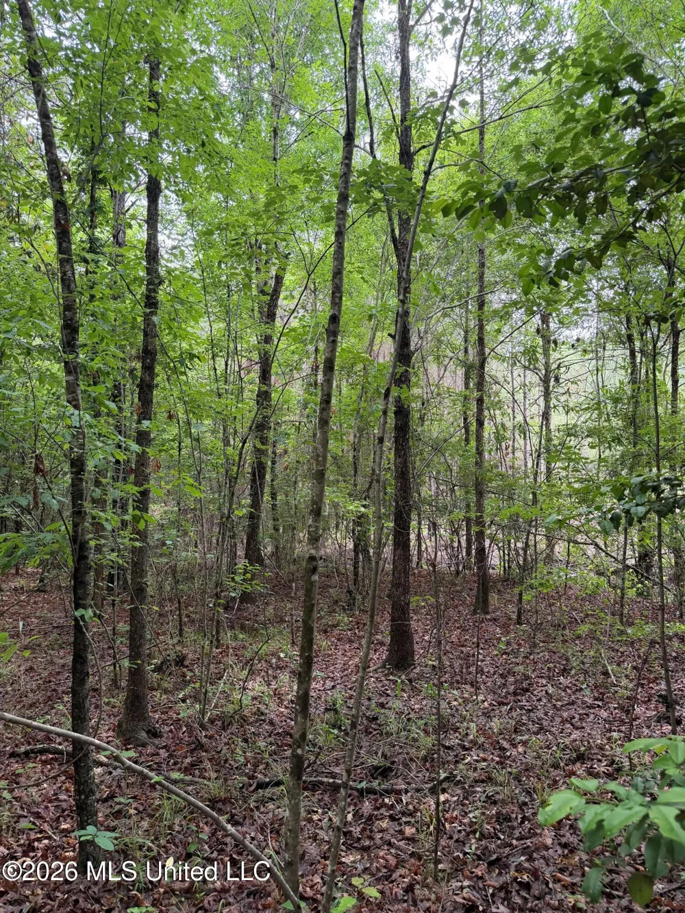 157 Walker Bottom Road Meridian, MS 39301