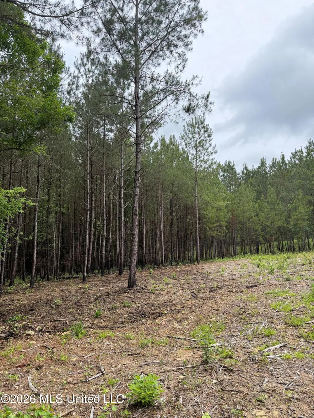157 Walker Bottom Road Meridian, MS 39301
