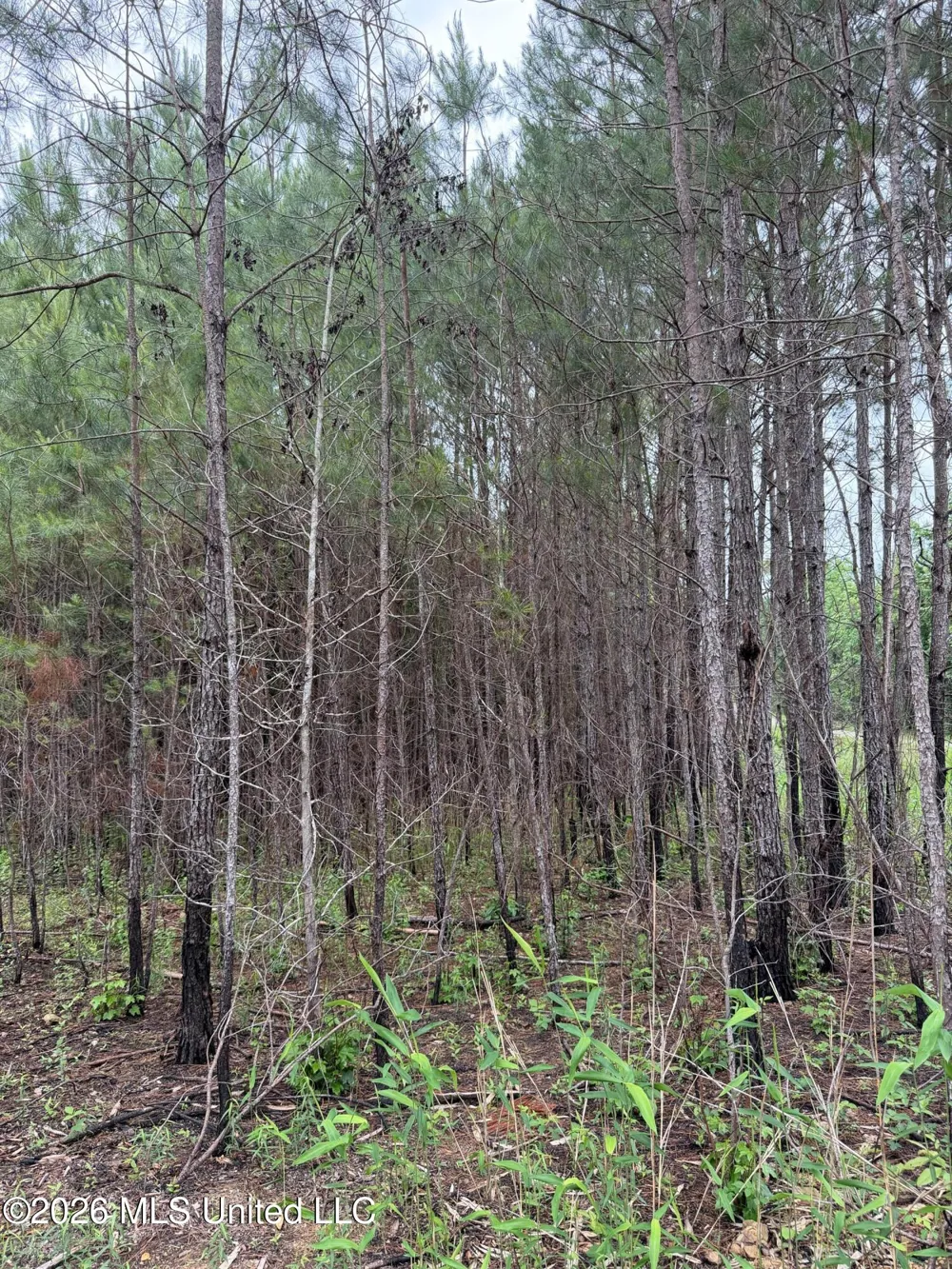 157 Walker Bottom Road Meridian, MS 39301