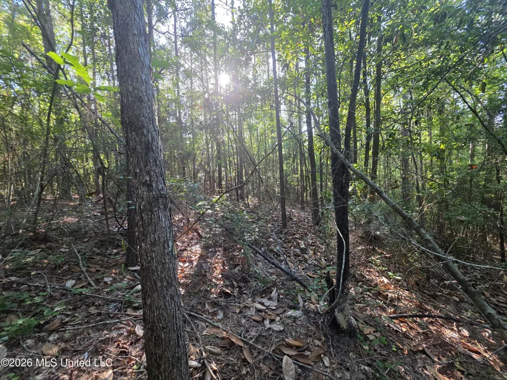 Hamilton Road Prentiss, MS 39474
