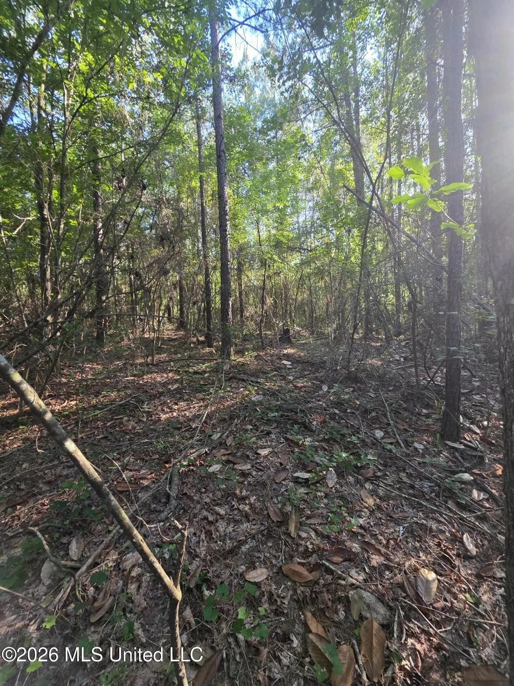 Hamilton Road Prentiss, MS 39474