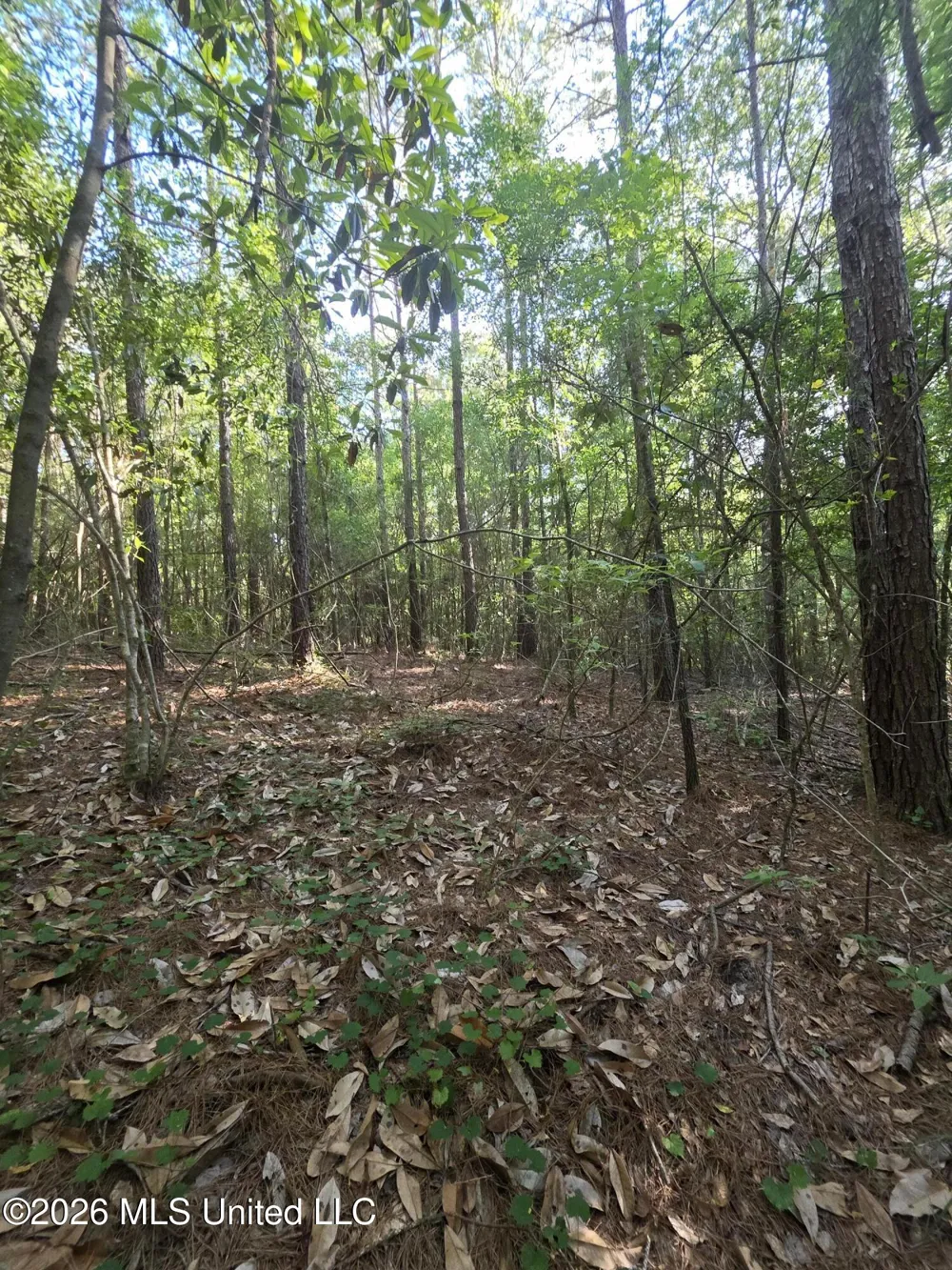 Hamilton Road Prentiss, MS 39474