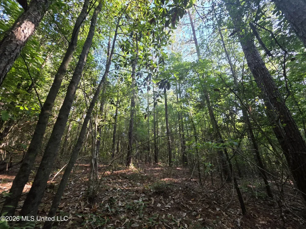 Hamilton Road Prentiss, MS 39474