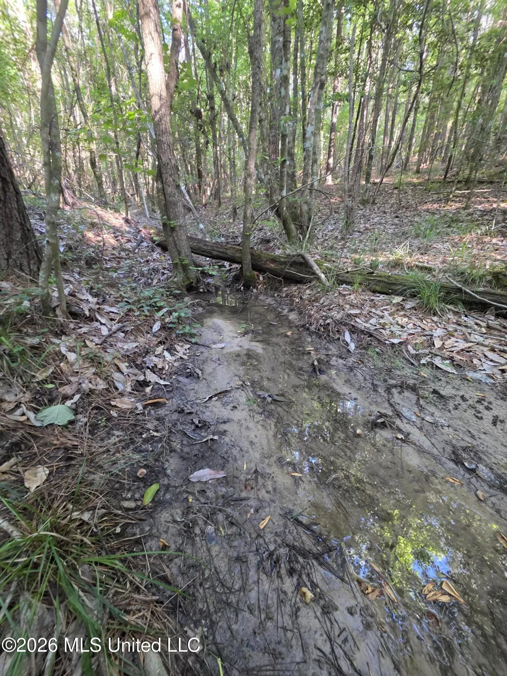 Hamilton Road Prentiss, MS 39474