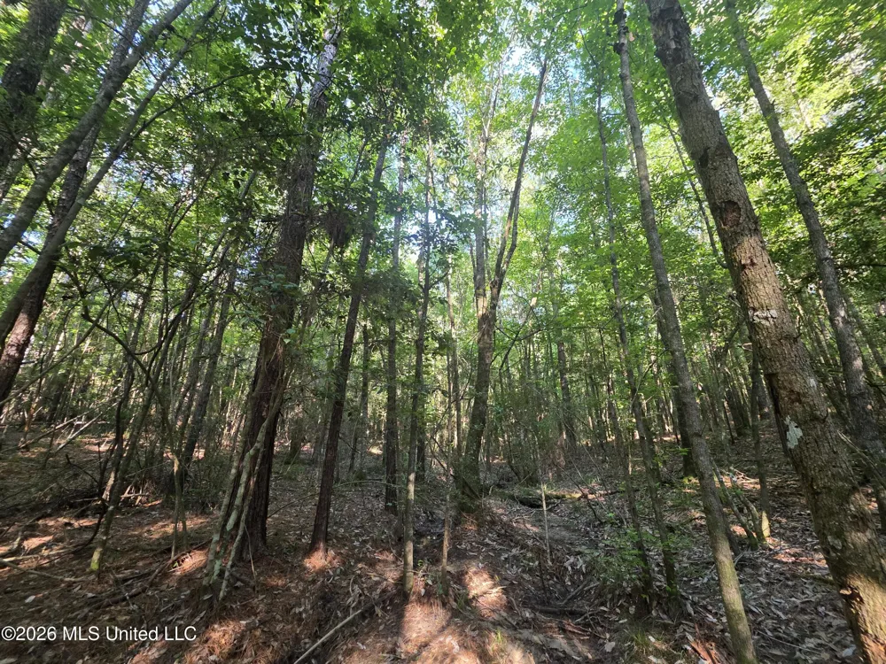 Hamilton Road Prentiss, MS 39474