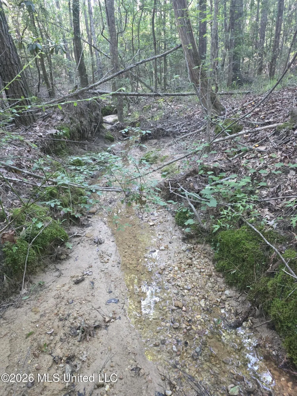 Hamilton Road Prentiss, MS 39474