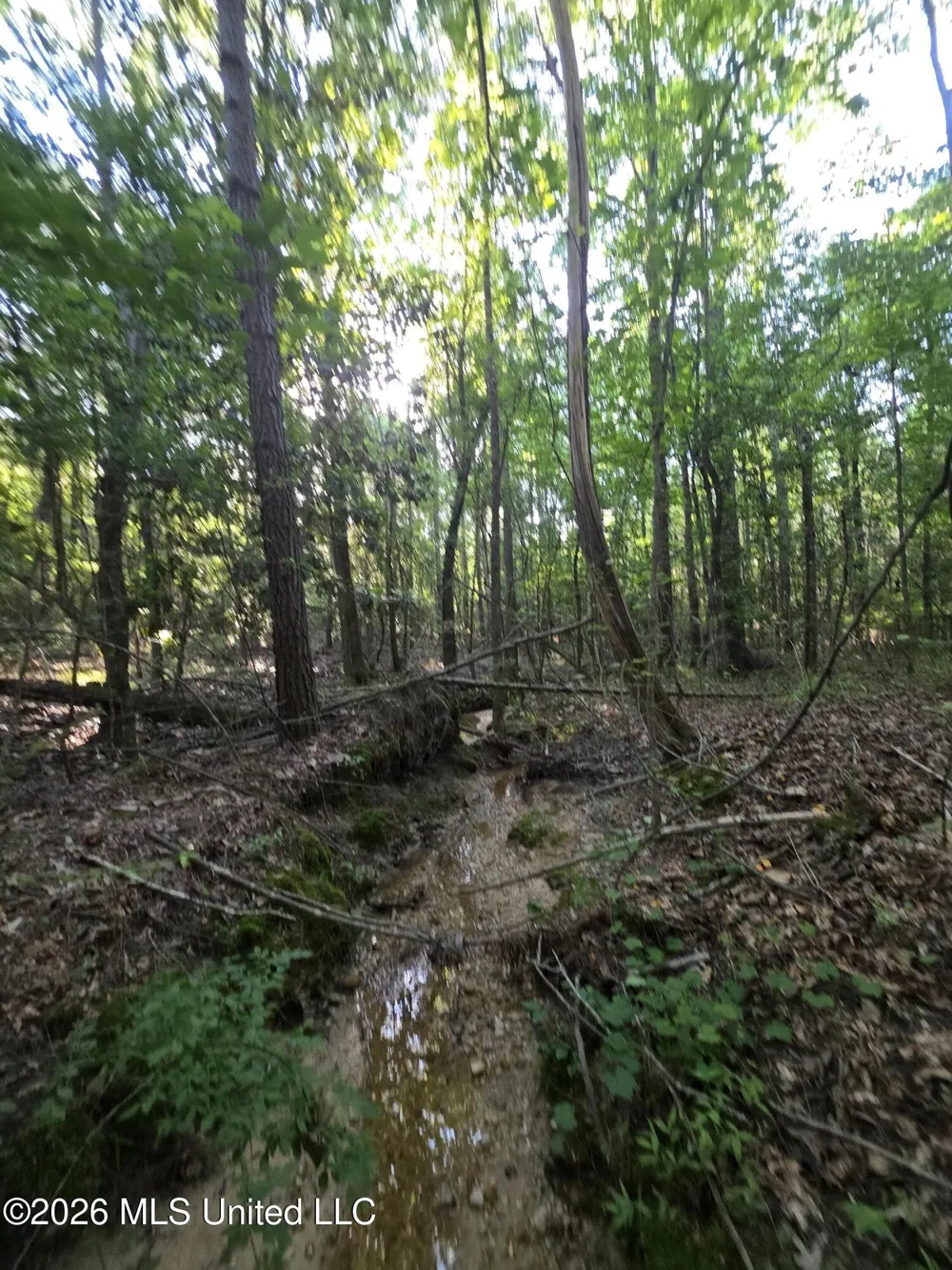 Hamilton Road Prentiss, MS 39474
