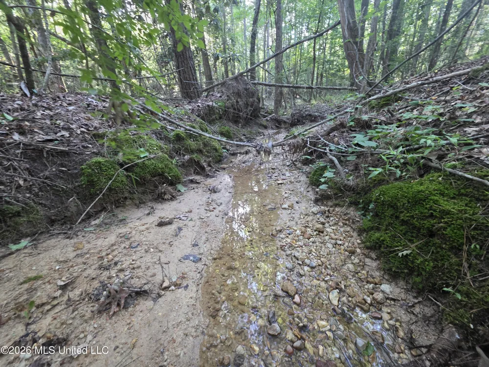 Hamilton Road Prentiss, MS 39474