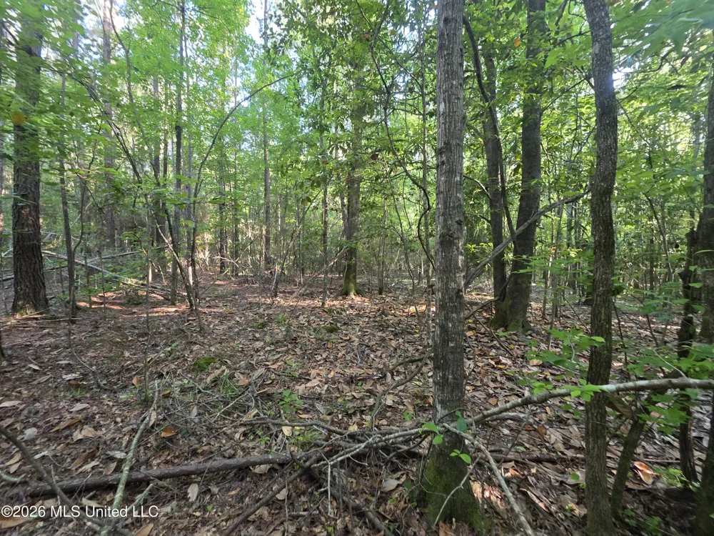 Hamilton Road Prentiss, MS 39474