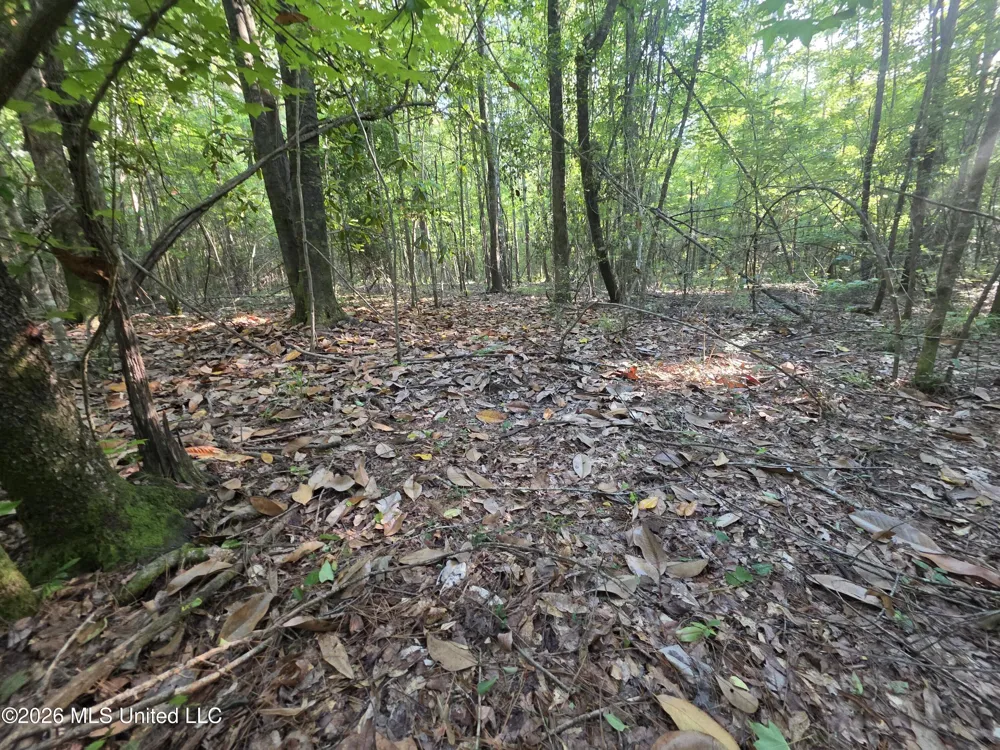 Hamilton Road Prentiss, MS 39474