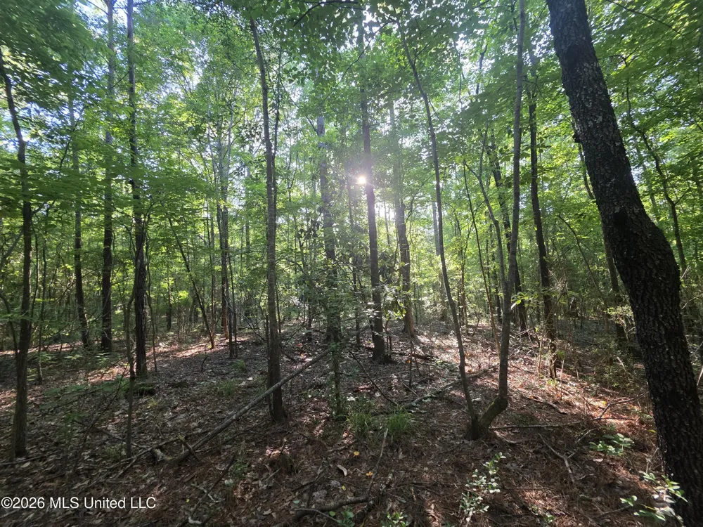 Hamilton Road Prentiss, MS 39474