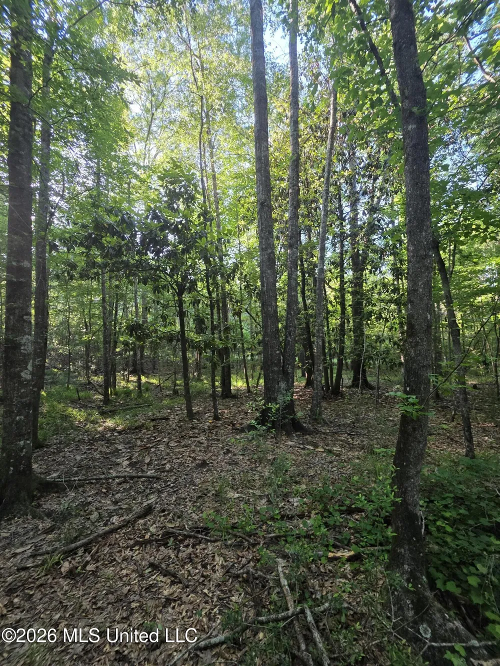 Hamilton Road Prentiss, MS 39474