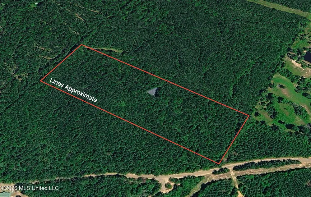 Hamilton Road Prentiss, MS 39474